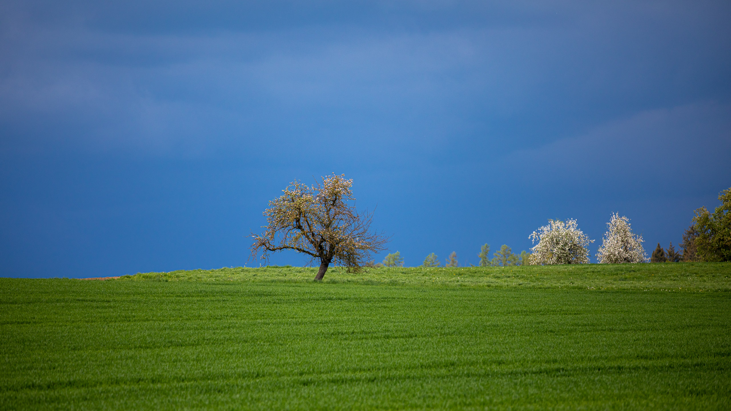 20230507154117 RD4 3974